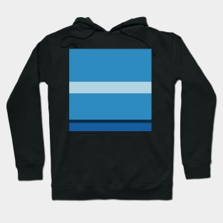 A shocking combo of Light Blue Grey, Windows Blue, Dark Blue Grey and Peacock Blue stripes. Hoodie